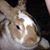 Kristy Burns's profile image