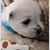 Martha DeMent's profile image