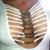 Paola L.'s profile image