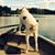 Dave Tremblay's profile image