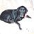 Darlene Perry's profile image