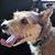 Kath Kellett's profile image