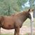 Christine Chamberlin's profile image