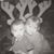 Patty Jean Moen Januszewski's profile image
