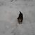 Pam Baranski Thompson's profile image