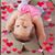 Erin Petro's profile image