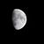Luis Borba's profile image