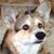 Susan Beuerlein's profile image