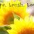 Loretta Pietrowski's profile image