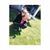 Marquada Renee Acevedo's profile image
