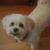 Kim Gianopoulos's profile image