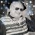 Roger Graham's profile image