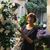 Rosemary Grose's profile image