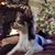 Vickie Vestal Souther's profile image