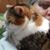 Nancy Lee's profile image