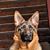 Jill Lukasik's profile image