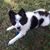 Phyllis Girdley Yates's profile image