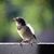 Amanda Leary's profile image