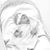 Lisa Scott's profile image