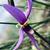 Rebecca Stancil's profile image