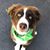 Nancy Cusick Best's profile image