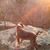 Teri Appelbaum's profile image