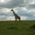 Sandra Hartman's profile image