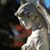 Denise Casisa-Marino's profile image