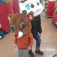 Diane Garber's profile image