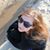Sarah Balser's profile image