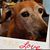 Susan Gribble's profile image