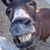 Tennille Thomas's profile image