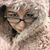 Sarah Button Crofton's profile image