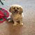 Kathy McCaul Fritz's profile image