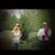 Trina Lee Smith's profile image