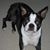 Debbie Baker-Levasseur's profile image