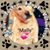 Tina Pastore's profile image
