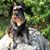 Gallegher Assao's profile image