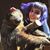 Liz Pavlovic's profile image