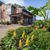 Oak Lawn Heights Leasing's profile image