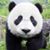 Lisa Hearn's profile image