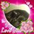 Rolene Zenia Thurman's profile image