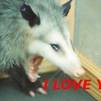 Johnny Walker's profile image