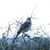 Barbara Burch Kuhn's profile image