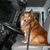 Laura Estes Washburn's profile image