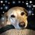 Paula John McCusker's profile image