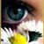 Heidi Mott's profile image