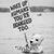 Jackie Motti's profile image