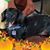 Teresa Alzamora Haskett's profile image