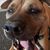 Heather Shankle's profile image